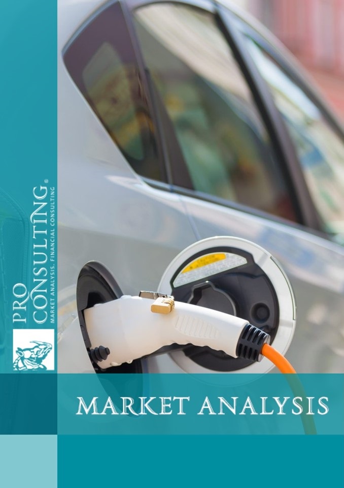 Analytical report on the electric vehicles market in Ukraine. 2024 year